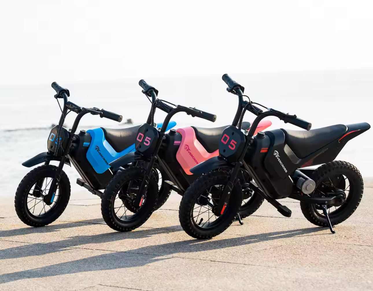 Electric Dirt Bike for Kids, 150W, Adjustable Speed 8/16 km/h, Up to 10 km Range, 12-Inch Motocross for Kids 3-12